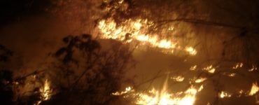 Fire in the house