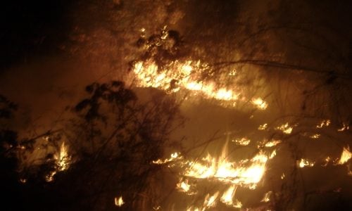 Fire in the house