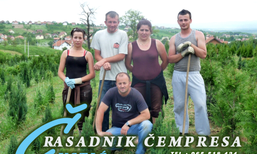 Rasadnik Cempresa Custic