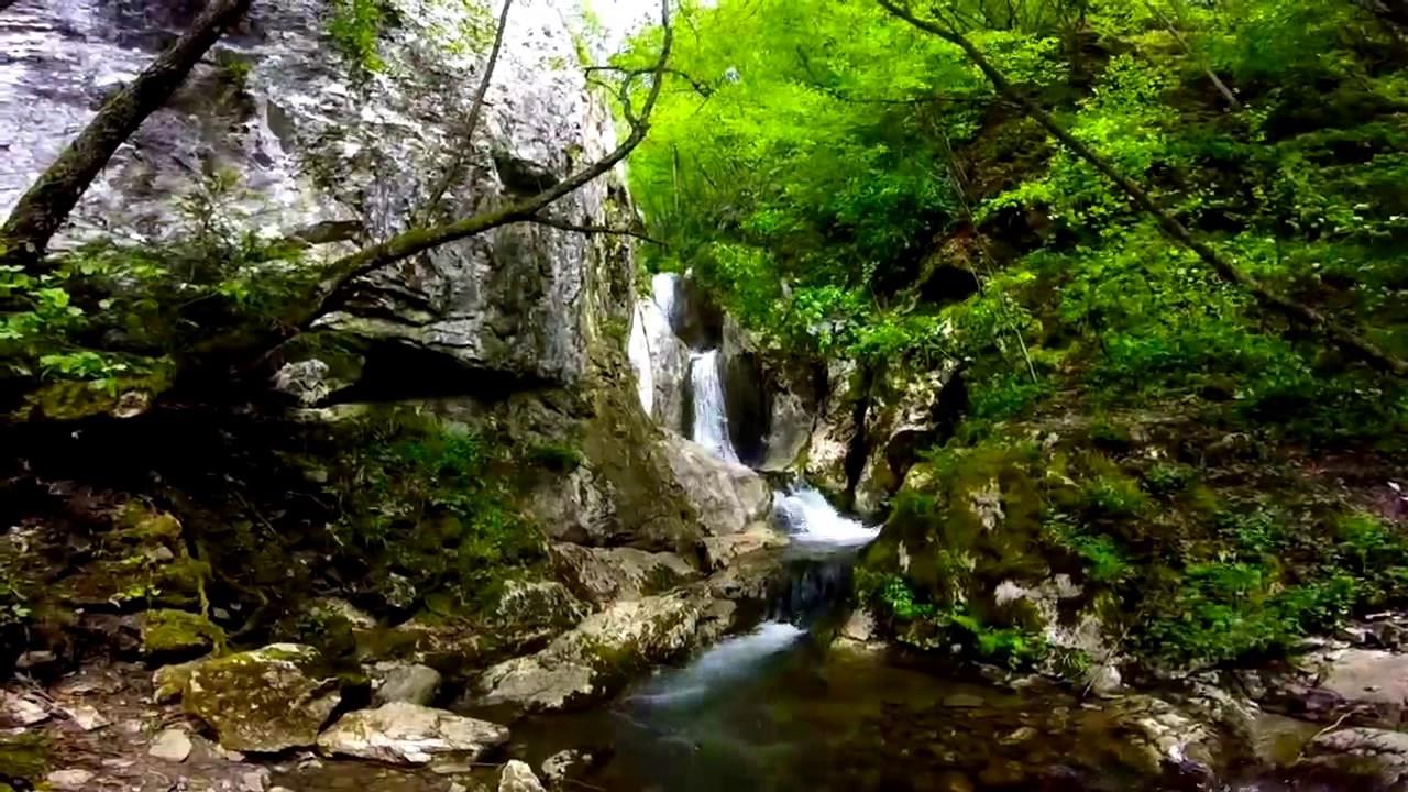 KOZARACJutarnji trač... Kozarac.ba